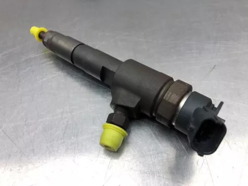 Verstuiver (diesel)-7981474 (20245066)
