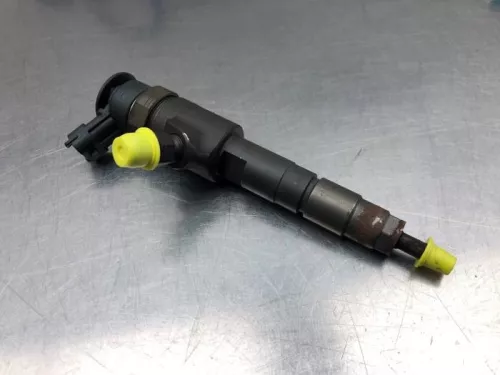 Verstuiver (diesel)-7981474 (20245067)