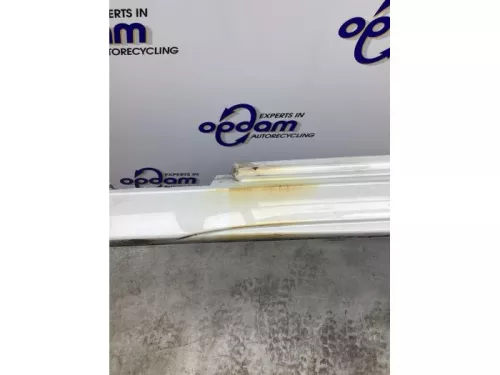 Zijskirt links-8186263 (21024203)