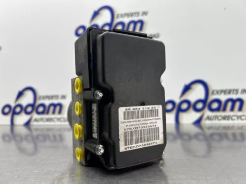 ABS Pomp-8300700 (22305379)