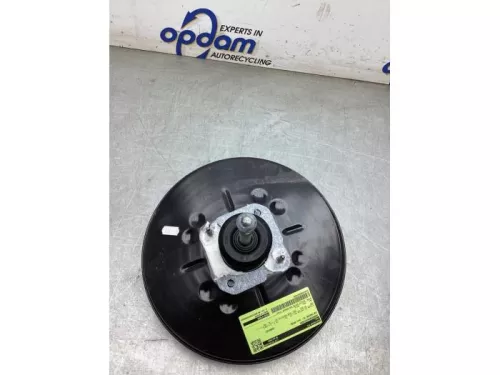 Rembekrachtiger-8337816