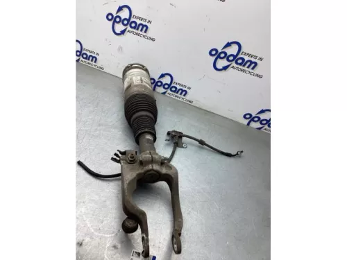 Schokdemperpoot links-voor-8278129