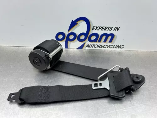 Veiligheidsgordel midden-achter-8328181