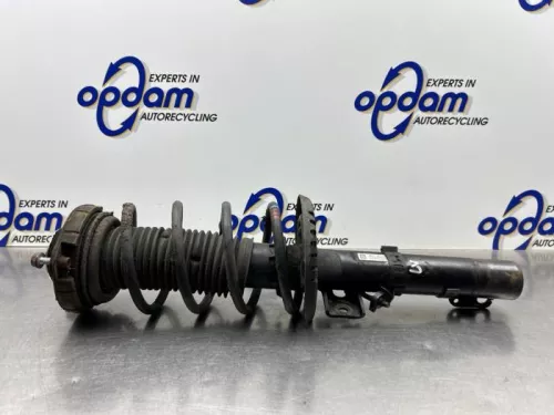 Schokdemperpoot links-voor-8334252