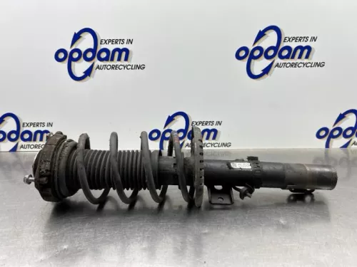 Schokdemperpoot rechts-voor-8334252