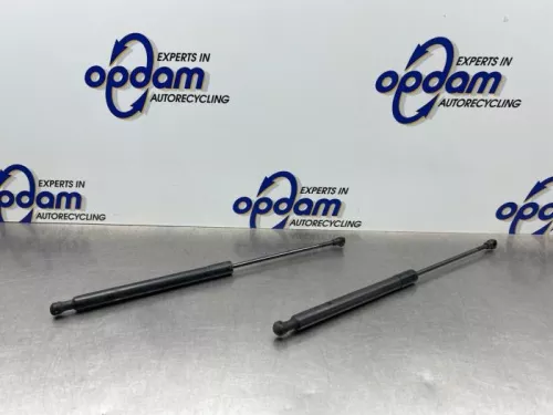 Set Gasdempers Achterklep-8187513