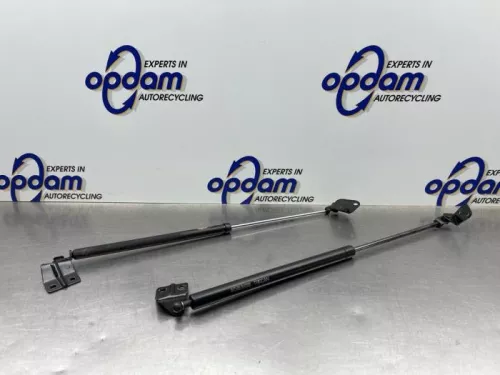 Set Gasdempers Achterklep-8341807