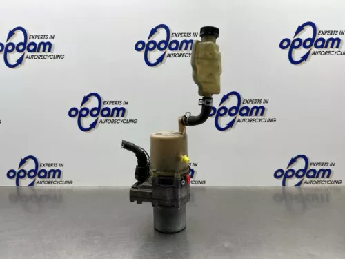 Stuurbekrachtiging Pomp-8081996