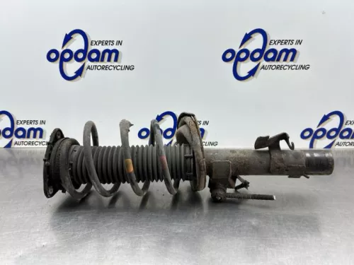 Schokdemperpoot links-voor-8329157