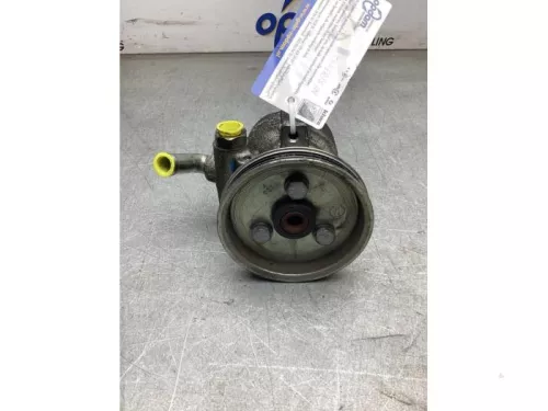 Stuurbekrachtiging Pomp-8282260