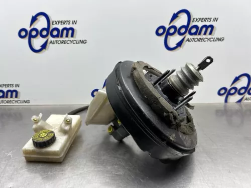 Rembekrachtiger-8182090