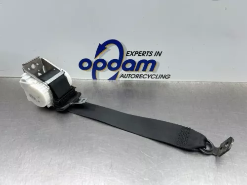 Veiligheidsgordel links-achter-8264708