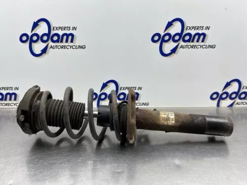 Schokdemperpoot rechts-voor-8228421