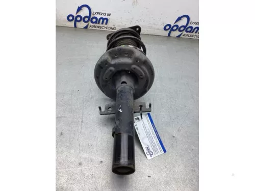 Schokdemperpoot links-voor-8119817