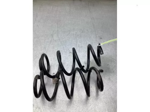 Schroefveer achter-8198550