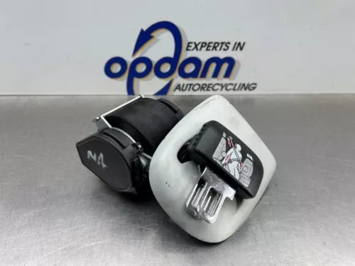 Veiligheidsgordel midden-achter-8317289