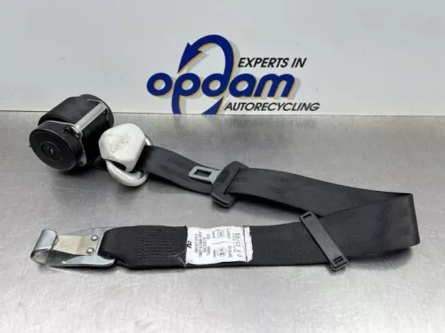 Veiligheidsgordel rechts-achter-8317289