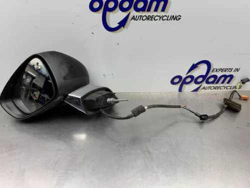 Buitenspiegel links-8348299