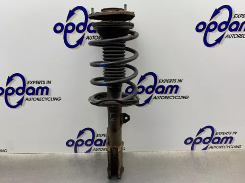 Schokdemperpoot links-voor-8245784