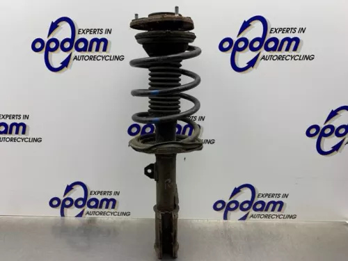 Schokdemperpoot rechts-voor-8245784