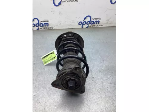 Schokdemperpoot links-voor-8106532