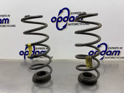 Schroefveer achter-8347940