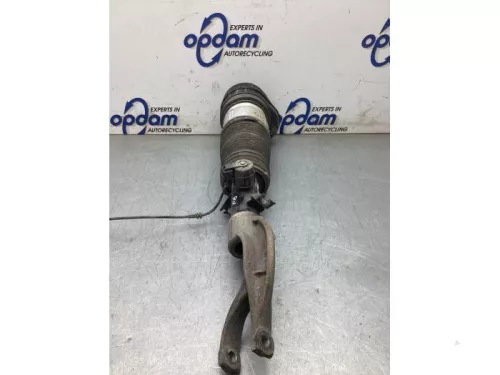 Schokdemperpoot rechts-voor-8295847