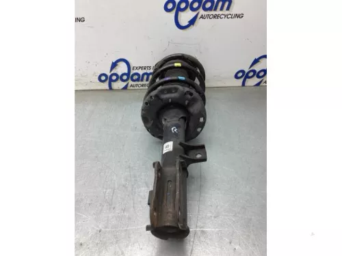 Schokdemperpoot rechts-voor-8206780