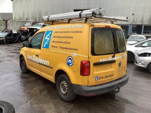 Achterdeur Bus-Bestelauto-8264459 (21852326)