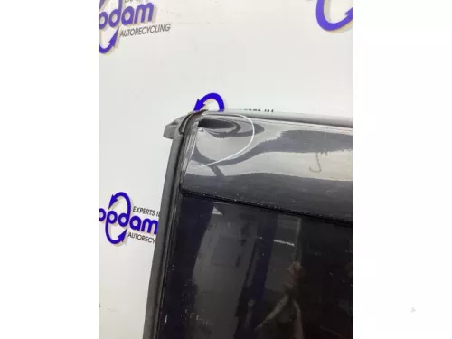 Achterdeur Bus-Bestelauto-8083072 (20550159)