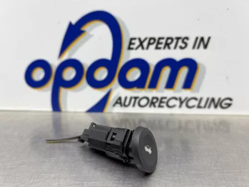 Schakelaar achterklep-8339439