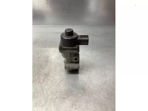 EGR Klep-