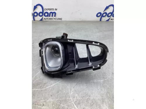 Mistlamp links-voor-7978229