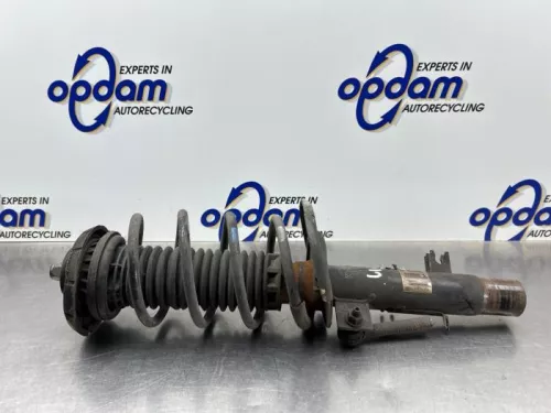 Schokdemperpoot links-voor-8187513