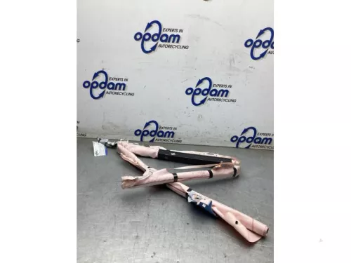 Airbag hemel rechts-8293887