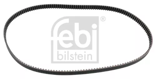 tandriem