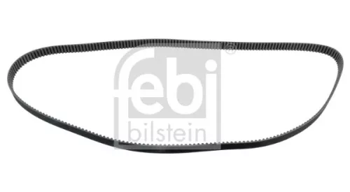 tandriem
