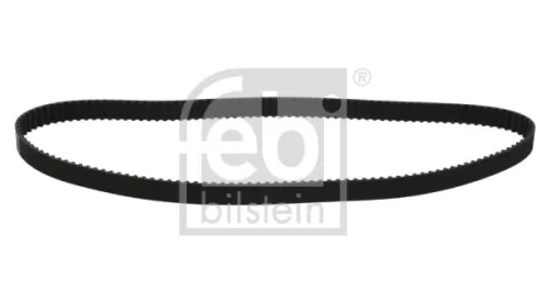 tandriem