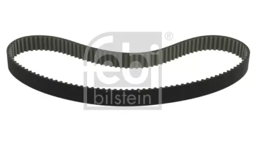 tandriem