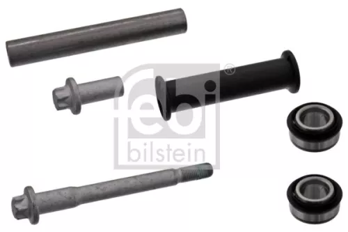 Lagerset aslichaam
