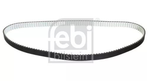 tandriem