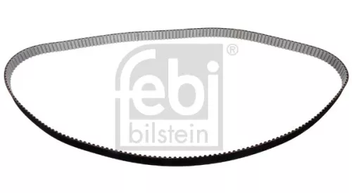 tandriem