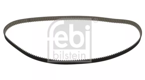 tandriem