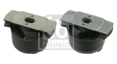 Lagerset aslichaam