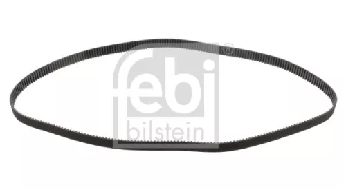 tandriem