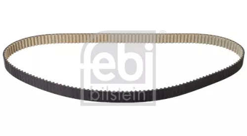 tandriem