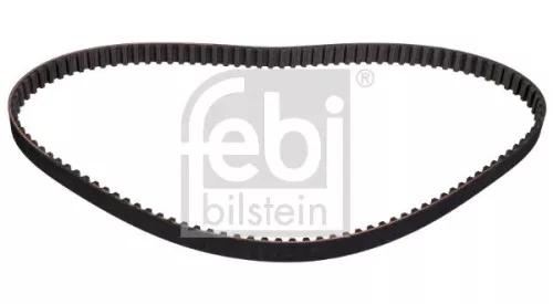tandriem