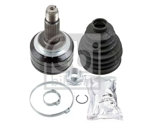 Homokineetset