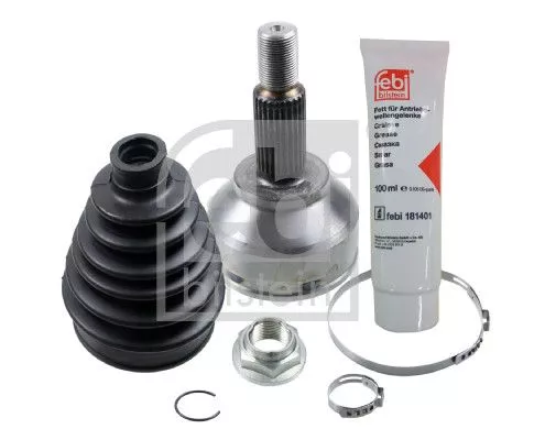 Homokineetset