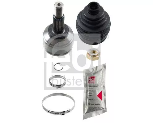 Homokineetset